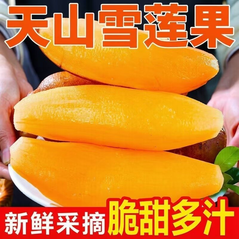 正宗现挖云南天山雪莲果新鲜低糖孕妇水果黄心清甜当季整箱价
