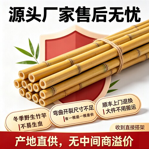 竹竿小竹杆菜园搭架子篱笆栅栏菜豆角黄瓜爬藤花架竹子围栏旗杆