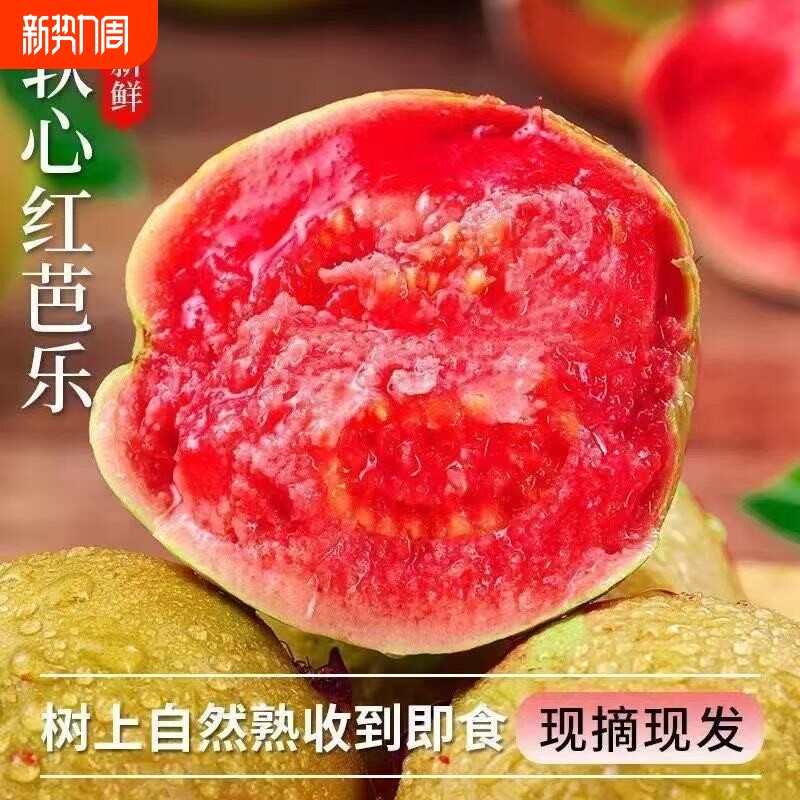 广东冰淇淋红心芭乐番石榴新鲜水果当季软糯奶油胭脂红树熟软心