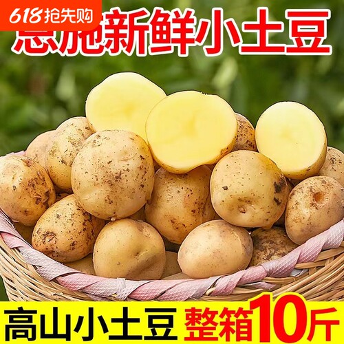 土豆新鲜恩施小正宗高山现挖黄心土豆蔬菜士豆迷你马铃薯洋芋自种