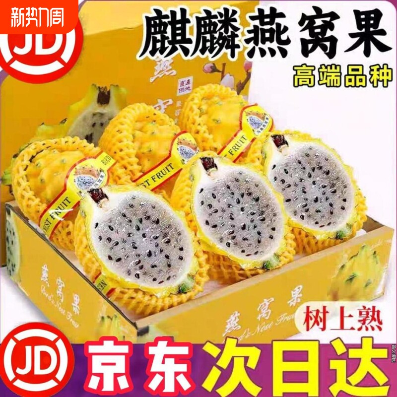 顺丰京东麒麟燕窝果冰糖彩箱正宗海南大果罕见黄皮火龙果礼盒装
