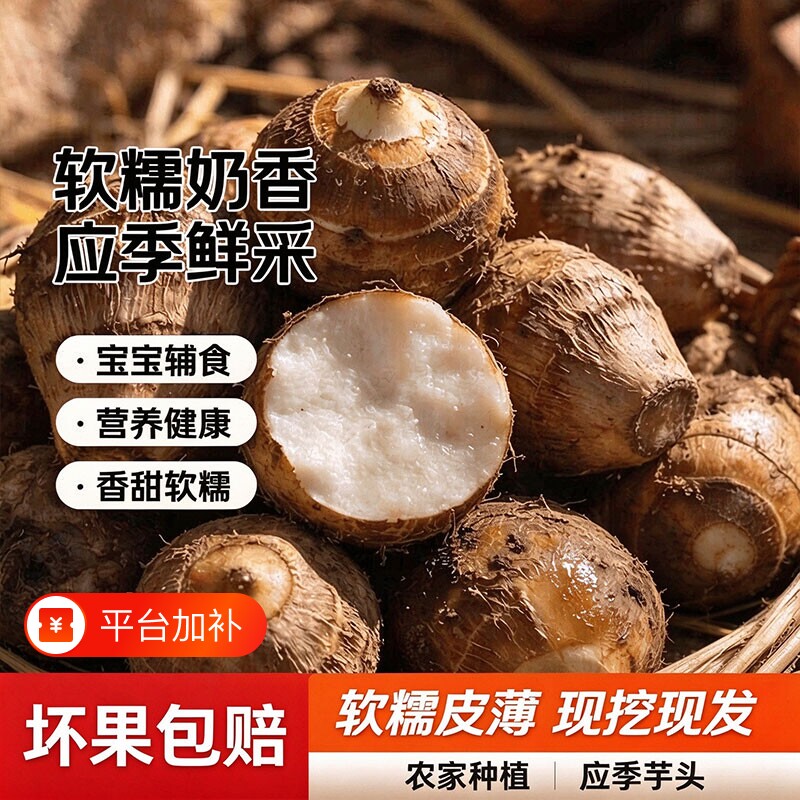 贵州奶心牛奶小芋头新鲜芋艿软糯香滑毛小香芋农家现挖软芋头蔬菜