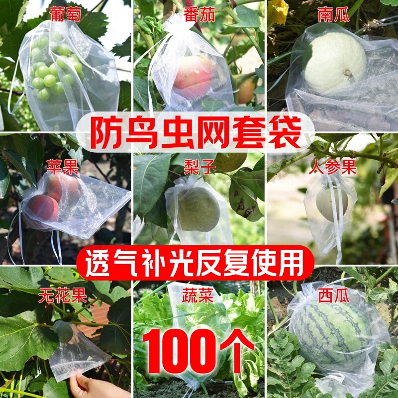 水果套袋防鸟防虫专用家庭园艺透光透气网袋葡萄无花果草莓袋子