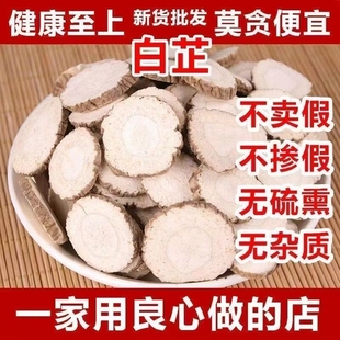 新货正宗白芷片中药材特级白止炖肉去腥增香香料大全家用商用批发