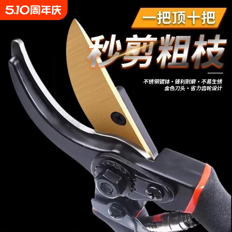 精工修剪树枝剪刀专用花木剪修枝剪刀果树木剪子园艺园林家用