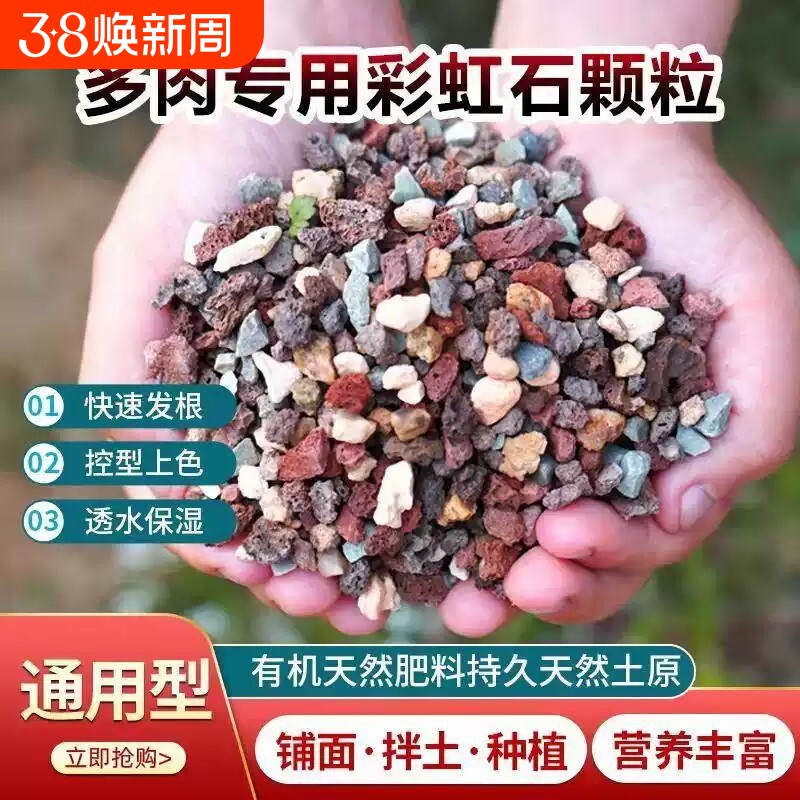多肉营养土全颗粒专用土壤老桩种植多肉土养花通用型泥炭植物花土
