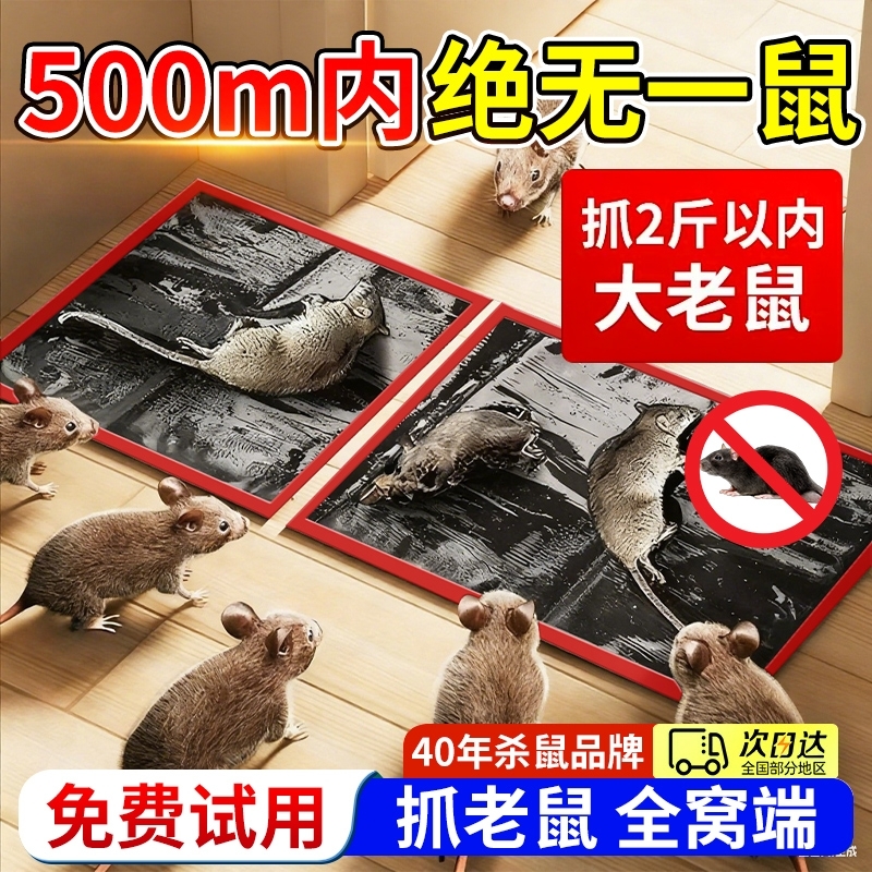 【亏本冲量热卖】超强粘胶粘鼠板