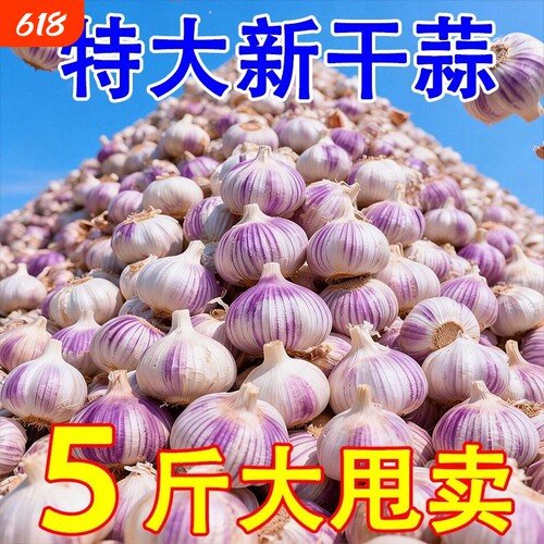 今年新干蒜头农家大蒜头新鲜干蒜种紫白皮当季蔬菜整箱批发源头