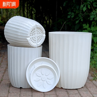 竖纹大花盆轻奢高级感家用室内高筒简约透气花卉天堂鸟盆栽仿陶瓷