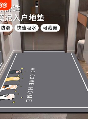 家用耐脏地毯玄关门口防滑脚垫子