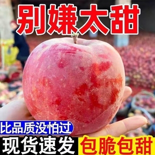 25年现摘 脆甜丑苹果正宗高山红富士新鲜苹果果冰糖心一整箱批发