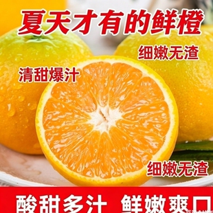 当季鲜橙湖北秭归夏橙橙子新鲜应季水果酸甜多汁脐橙
