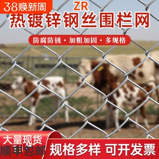 镀锌铁丝网钢丝网围栏栅栏护栏网拦鸡网防护热镀锌养鸡立柱折叠