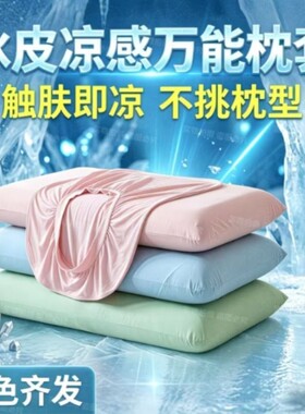 乳胶枕头套夏季新款弹力冰丝凉感记忆透气通用小冰皮空调一对大号