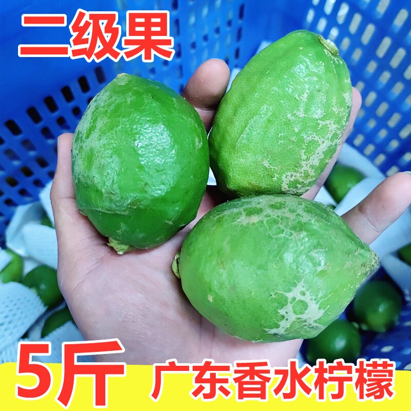 广东香水柠檬二级果正宗青柠檬5斤装新鲜无籽柠檬奶茶店专用包邮
