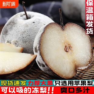 冻梨东北大黑梨正宗延边苹果梨秋梨特产新鲜冰水果8斤梨子年货节