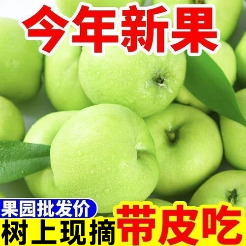 当季陕西青苹果新鲜水果现摘小苹果早熟嘎啦果酸脆甜整箱10包邮斤