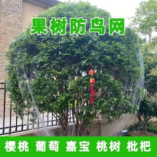 防鸟网果树防鸟罩嘉宝果防小鸟专用尼龙网围网果园天网防护网阳台