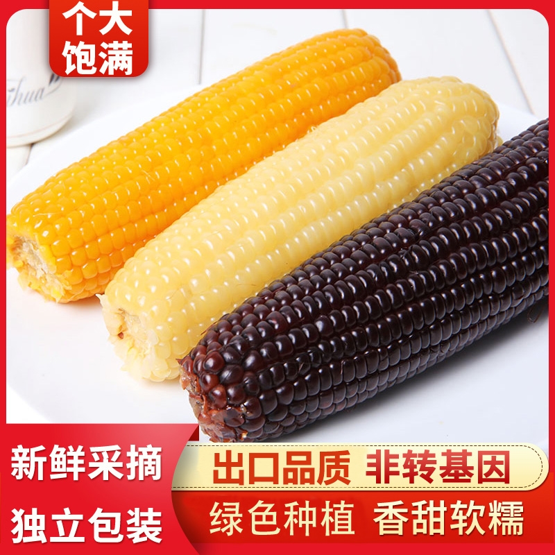 2025年黄黑玉米甜糯甜粗粮早餐大棒8根4斤粘苞米真空装代餐软糯