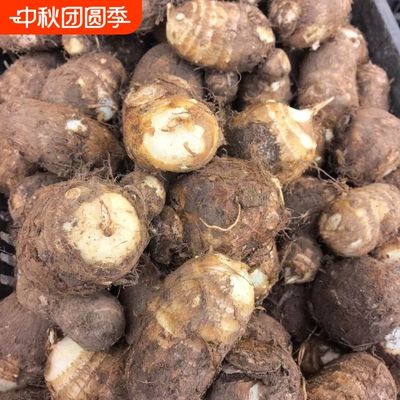 当季新货山东毛芋头新鲜牛奶小芋