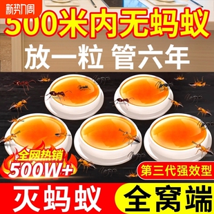 蚂蚁药家用全窝室内非无毒端旗舰店杀白蚁灭蟑螂专用杀虫剂呋虫胺