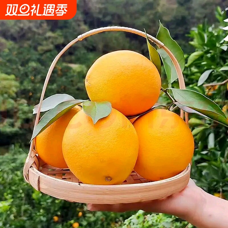 正宗赣南脐橙特级大果20斤江西赣州寻乌橙子新鲜甜水果产地直发10