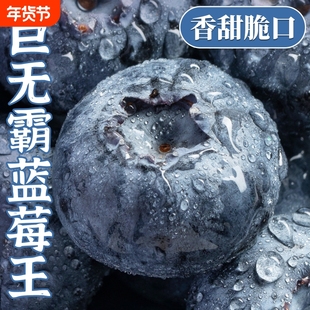 云南蓝莓顺丰包邮新鲜水果当季鲜果高山怡颗孕妇大果整箱一颗果蔬