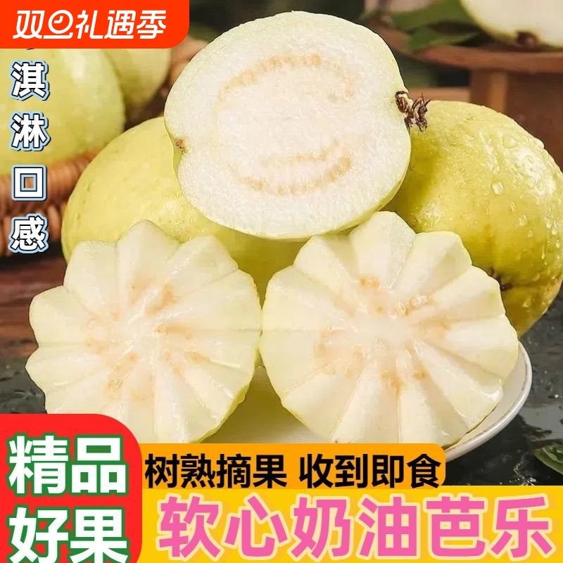 广东冰淇淋奶油芭乐软糯白心脆甜新鲜水果软心热带树熟口感红心