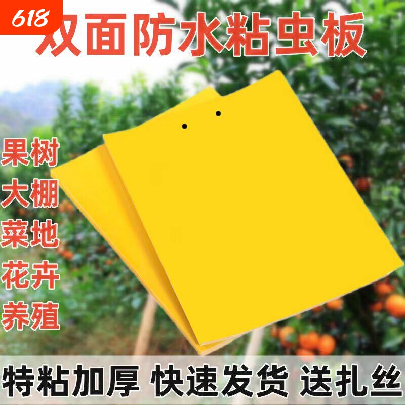 粘虫板黄板双面粘小飞虫果园果蝇诱捕器大棚灭苍蝇贴强粘力粘蝇纸