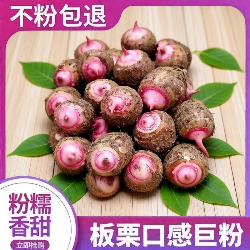 浙江金华红芽芋当季新鲜小香芋艿牛奶芋头槟榔毛芋头蔬菜软糯芋头