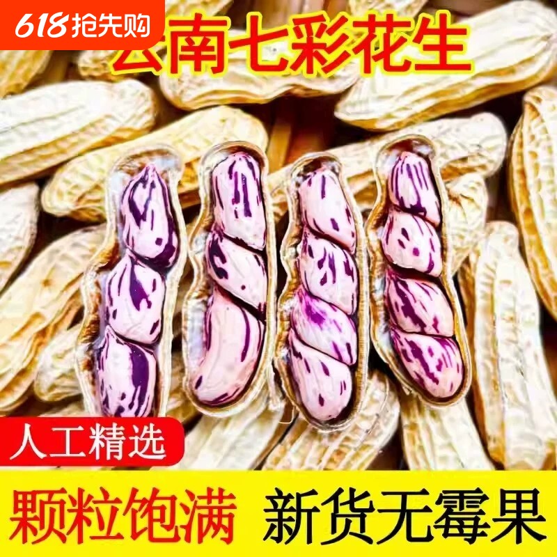 2026七彩花生晒干带壳云南特产咸干花生米牛奶花生种子籽新鲜水煮