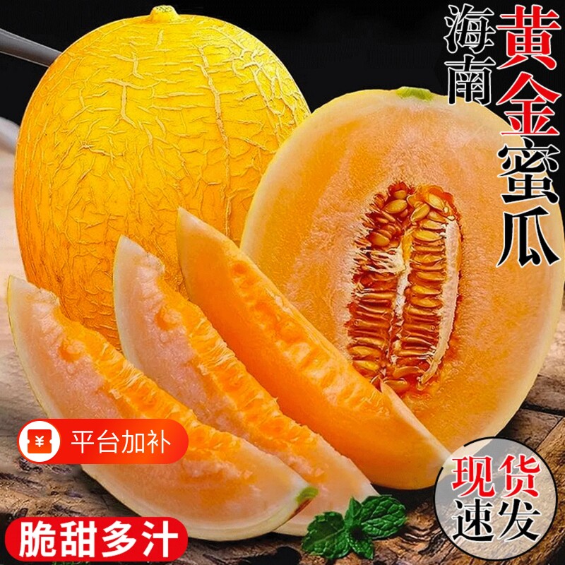海南黄金蜜瓜哈密瓜新鲜水果当季网纹瓜黄河蜜瓜脆甜香瓜现摘包邮