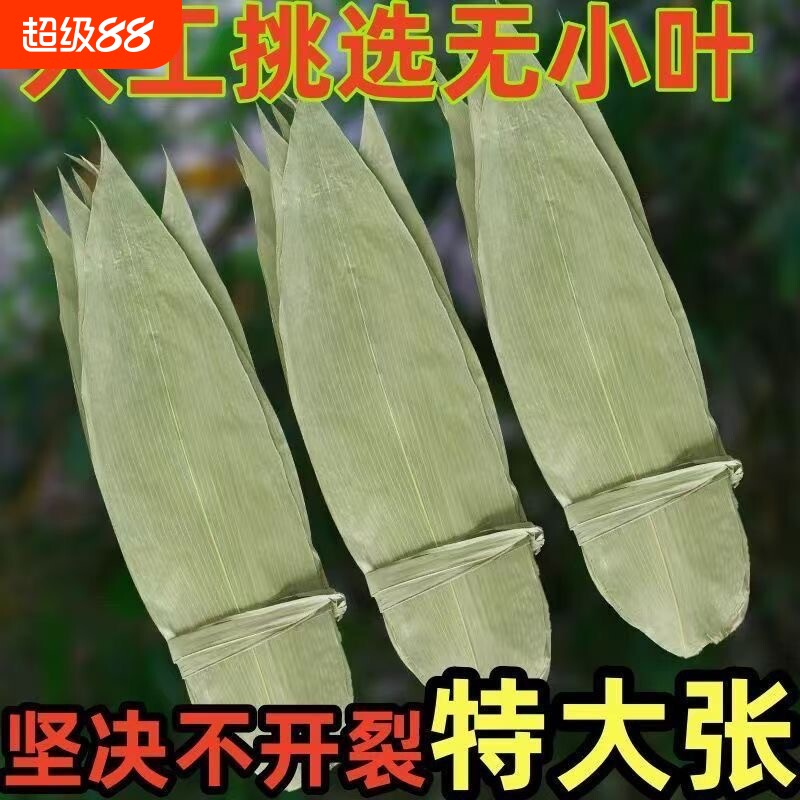 粽叶新鲜大号棕叶干包粽子的叶子天然野生竹叶粽绳箬叶粽子叶图片