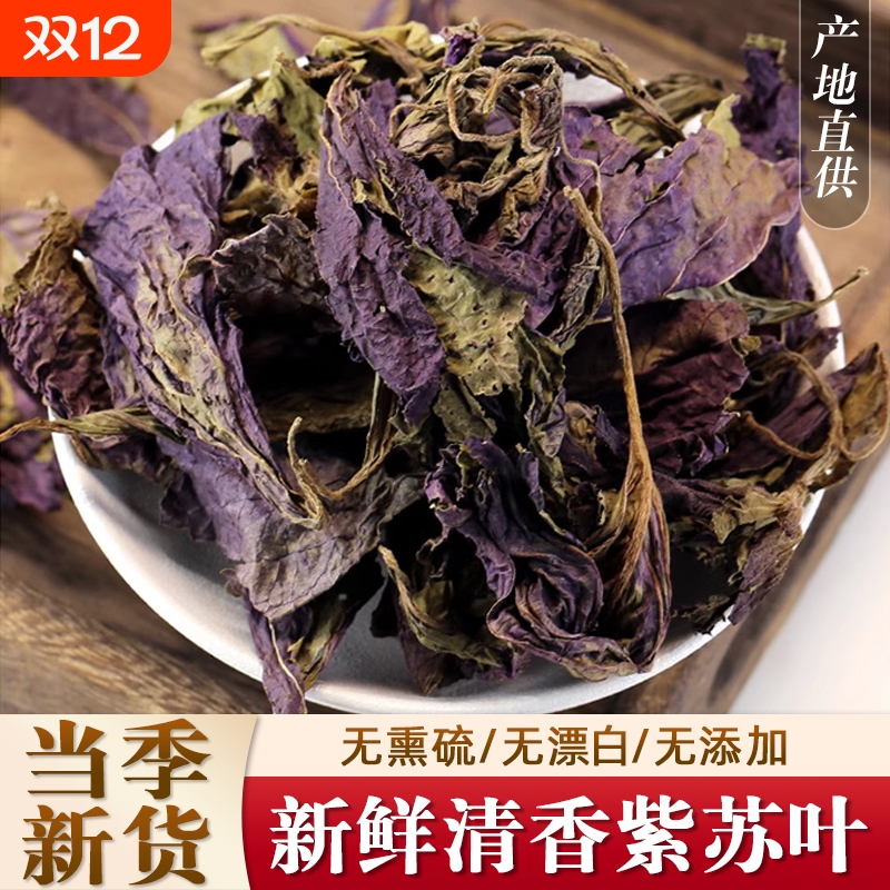 紫苏叶中药材小叶紫苏叶正品药用苏叶双色紫苏紫苏干叶泡水喝泡茶