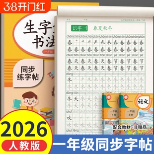 2026新版一年级字帖下册练字帖小学生专用三四五六人教版同步练字语文一二类字硬笔书法笔画笔顺生字组词控笔训练每日一练作文拼音