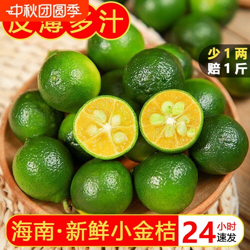 海南小金桔青金桔新鲜青柠檬应当季水果奶茶店专用