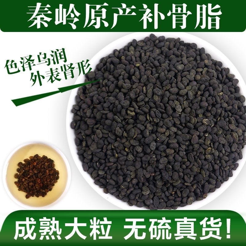 特级补骨脂中药材野生补骨脂破故纸黑故子搭杜仲菟丝子泡水泡酒料