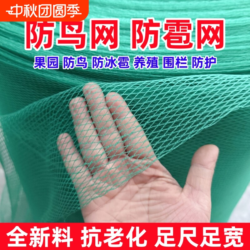防鸟网果园专用|超2000次加购图片