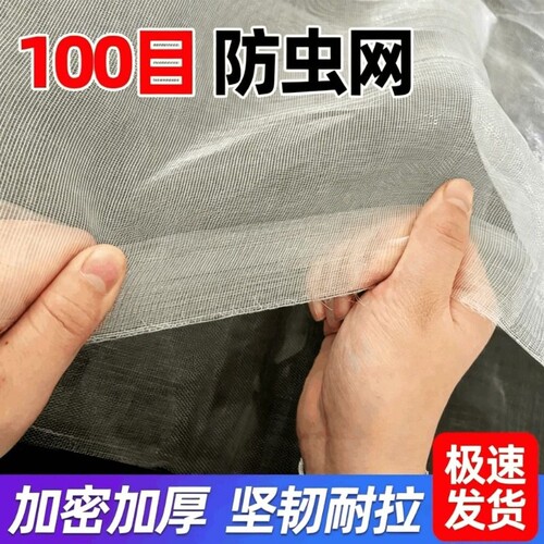 防虫网种菜专用抗老化100目菜园大棚纱网果树防蚊虫网罩尼龙网