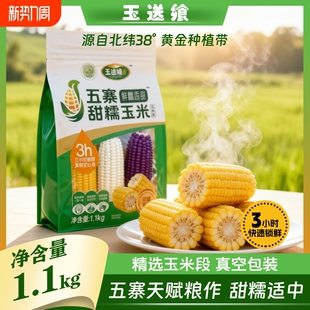 玉送飨精选玉米段五寨糯玉米低脂早餐老人儿童健康粗粮非转基因