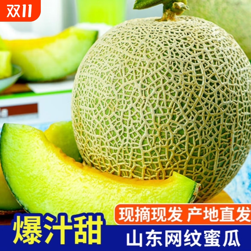 山东香甜网纹瓜蜂蜜瓜甜瓜应季新鲜水果哈密瓜批发现摘冰淇淋