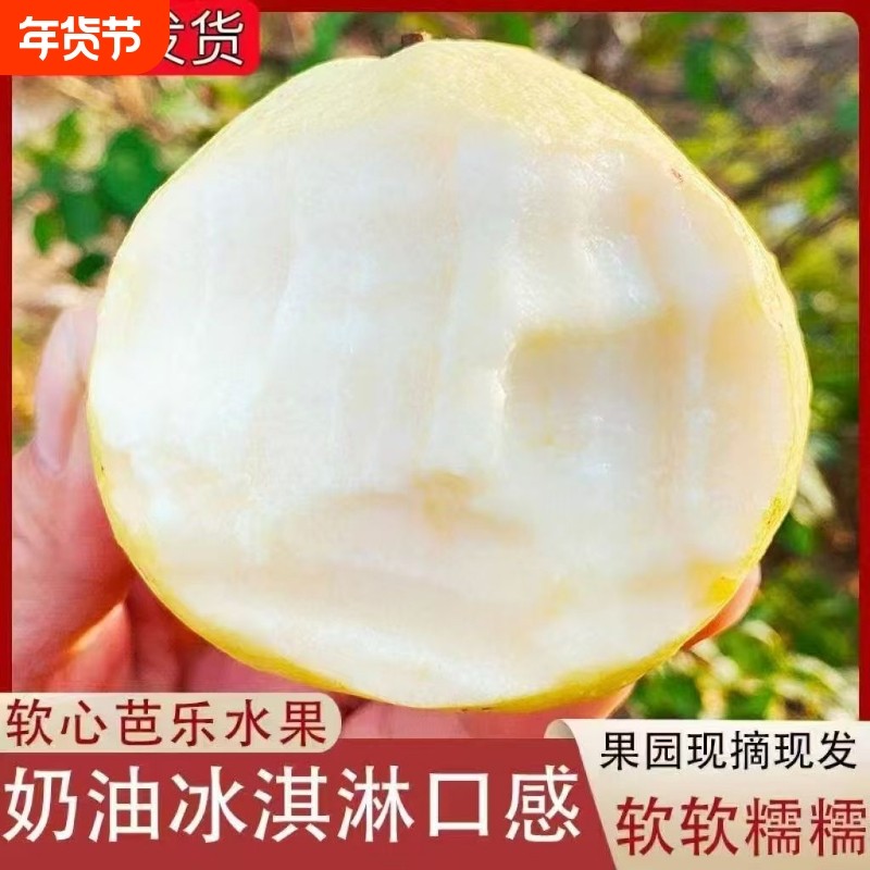 广东奶油白心芭乐番石榴当季水果红心新鲜热带当季5斤装软糯软心,水产肉类/新鲜蔬果/熟食,番石榴/芭乐,淘宝优惠券,粉丝福利购,淘宝优惠卷