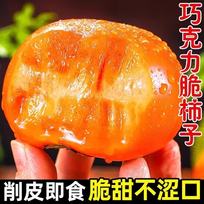 当季水果阳丰脆柿子现摘现发
