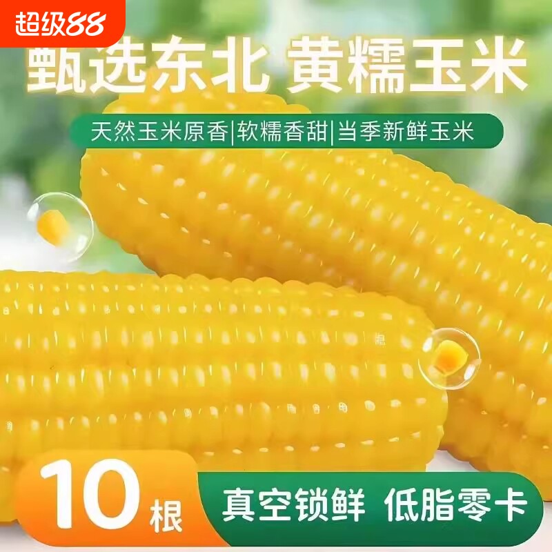东北玉米棒软糯香甜新鲜真空糯玉米黄糯玉米代餐粗粮甜玉米开源