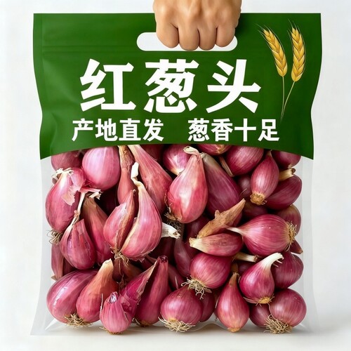 新货正宗红葱头个小香葱头小黄头葱子蔬菜葱苗小葱孑火葱头葱油