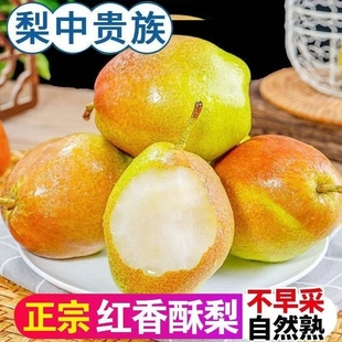 【特级脆甜】正宗红香酥梨新鲜脆甜水果梨子薄皮应季香梨批发整箱