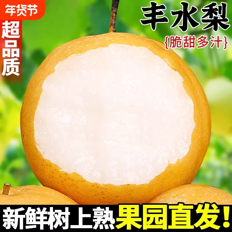 新上市头茬丰水梨当季新鲜采摘水果时令口感汁水多脆甜,水产肉类/新鲜蔬果/熟食,梨,淘宝优惠券,粉丝福利购,淘宝优惠卷