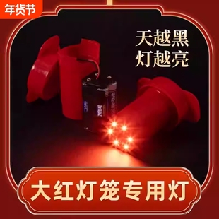 免插电led遥控灯笼灯泡专用灯防水电池款感应灯放在里面的灯感光