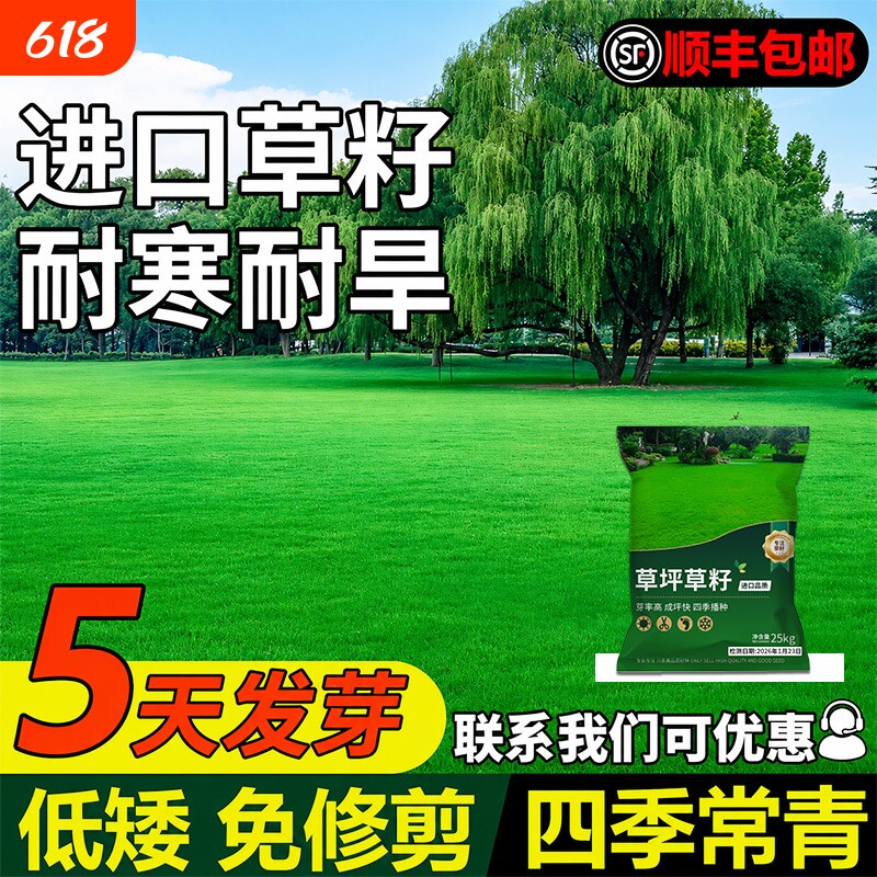 草坪草籽四季常青免修剪矮生耐寒热狗牙根马尼拉种子地毯草皮种籽