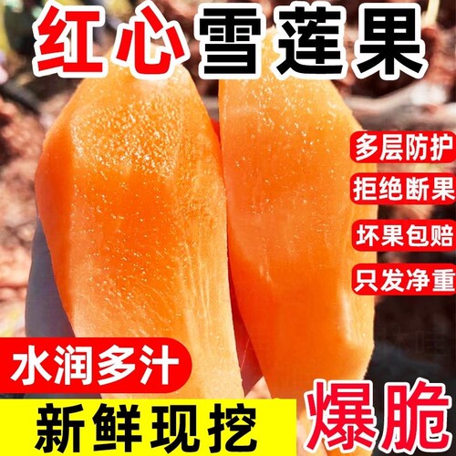 云南当季雪莲果新鲜水果现挖脆甜红心黄心雪连果孕妇水果批发包邮